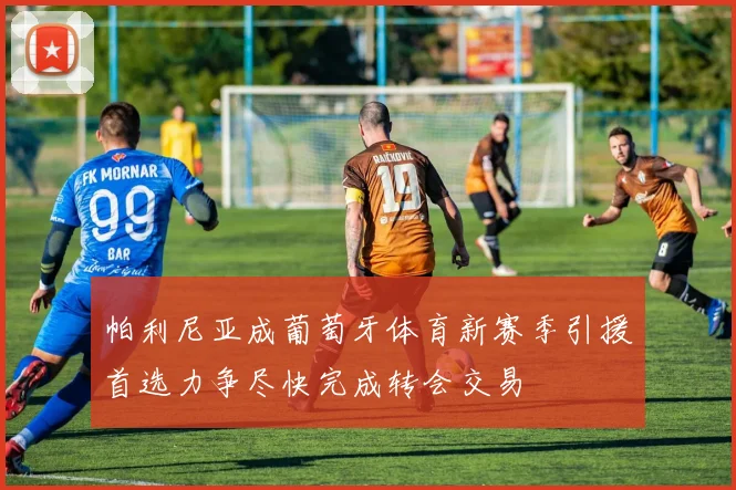 帕利尼亚成葡萄牙体育新赛季引援首选力争尽快完成转会交易