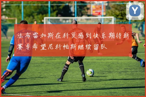 法布雷加斯在科莫感到快乐期待新赛季希望尼科帕斯继续留队