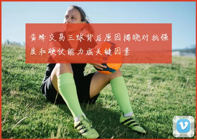 黄蜂交易三球背后原因揭晓对抗强度和硬仗能力成关键因素